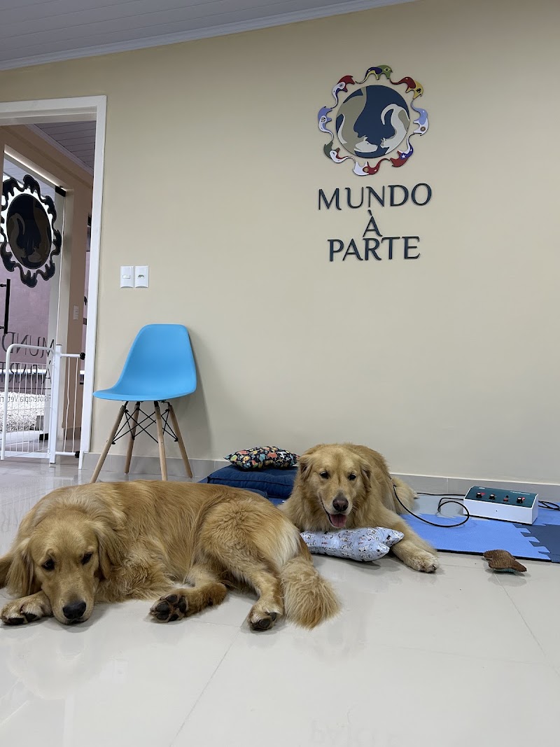 Mundo À Parte Criciúma / Fisioterapia Veterinária
