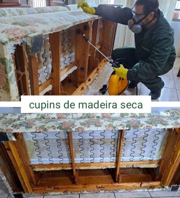 RICOPRAG Controle de Pragas