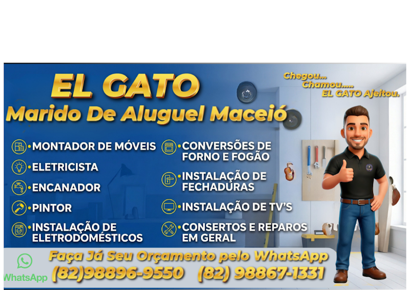 el gato marido de aluguel maceio