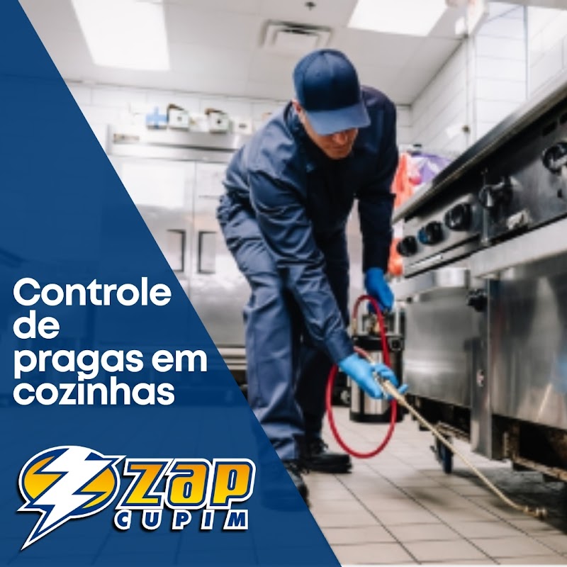 Dedetizadora Florianópolis- Zap Cupim